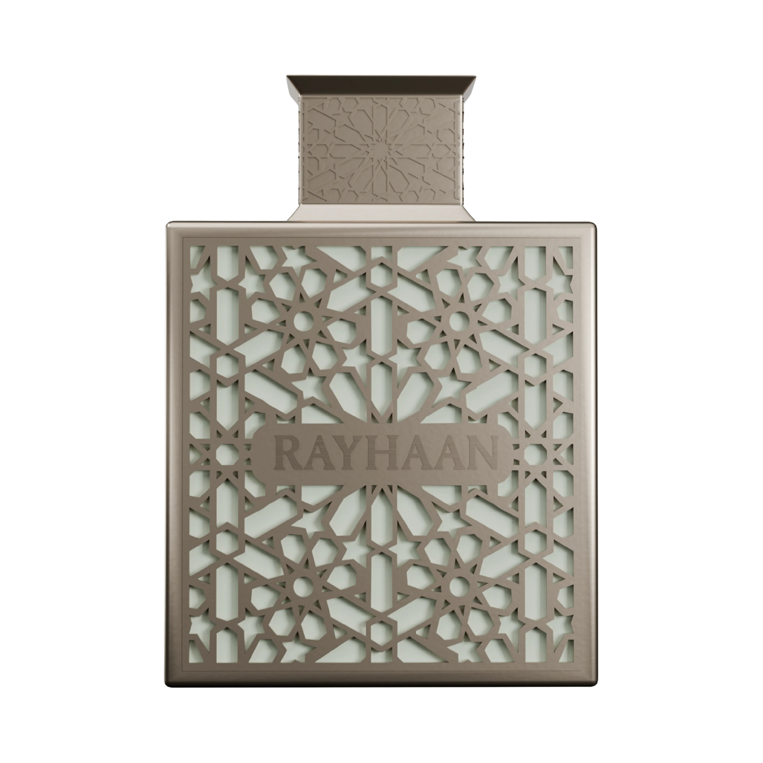 RAYHAAN TERRA FOR MEN 100ML - EAU DE PARFUM