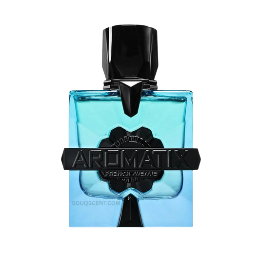 French Avenue Magnetiq Eau De Parfum – 100ml | Warm Cinnamon, Aged Rum & Velvet Tobacco Luxury Signature Scent for Men and Women (Unisex)