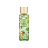 Victoria's Secret Melon Drench Fine Fragrance Mist – 250ml – Women