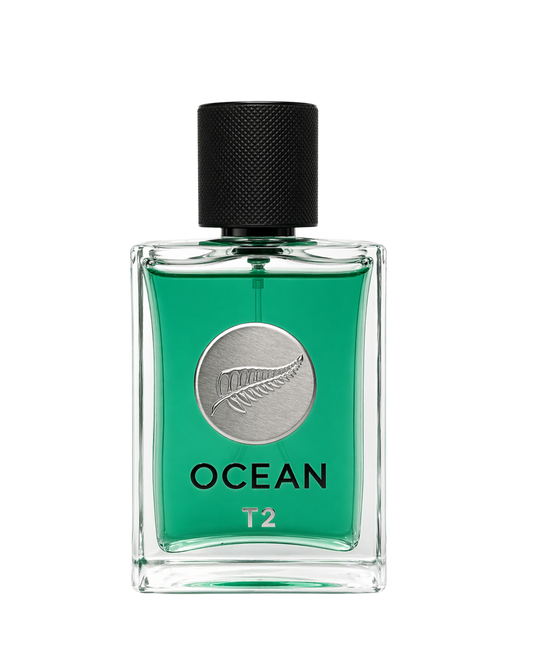 Hilcity OCEAN T2 Eau de Parfum | Long-Lasting Citrus & Spicy Men's Scent