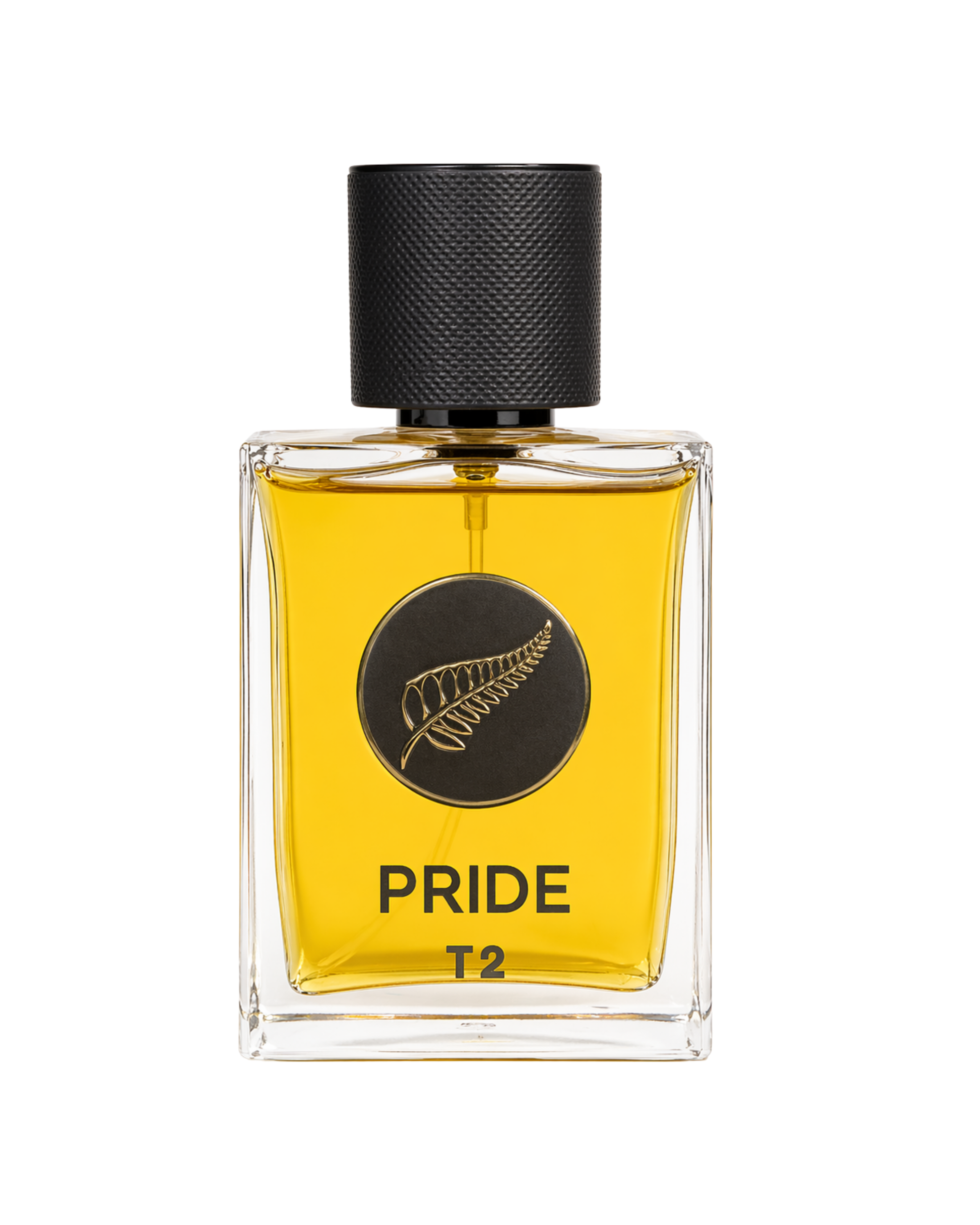 Hilcity PRIDE T2 Eau de Parfum | Long-Lasting Aromatic & Fruity Luxury Scent