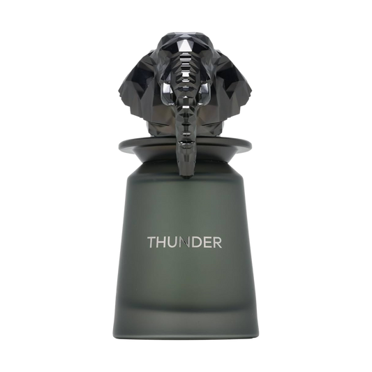 French Avenue Thunder Eau De Parfum – 100ml | Sparkling Grapefruit, Intense Ambroxan & Spicy Ginger Luxury Signature Scent for Men